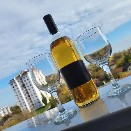 Apartment Konstantin Lux 2 Subotica